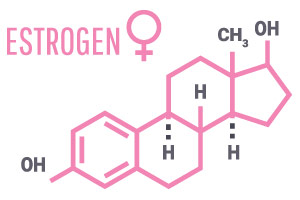 Darstellung der chemischen Formel von Östrogen in rosa auf weißem Hintergrund Darstellung der chemischen Formel von Östrogen in rosa auf weißem Hintergrund