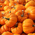Viele orange Kürbise mit Stiel wild auf einem Haufen